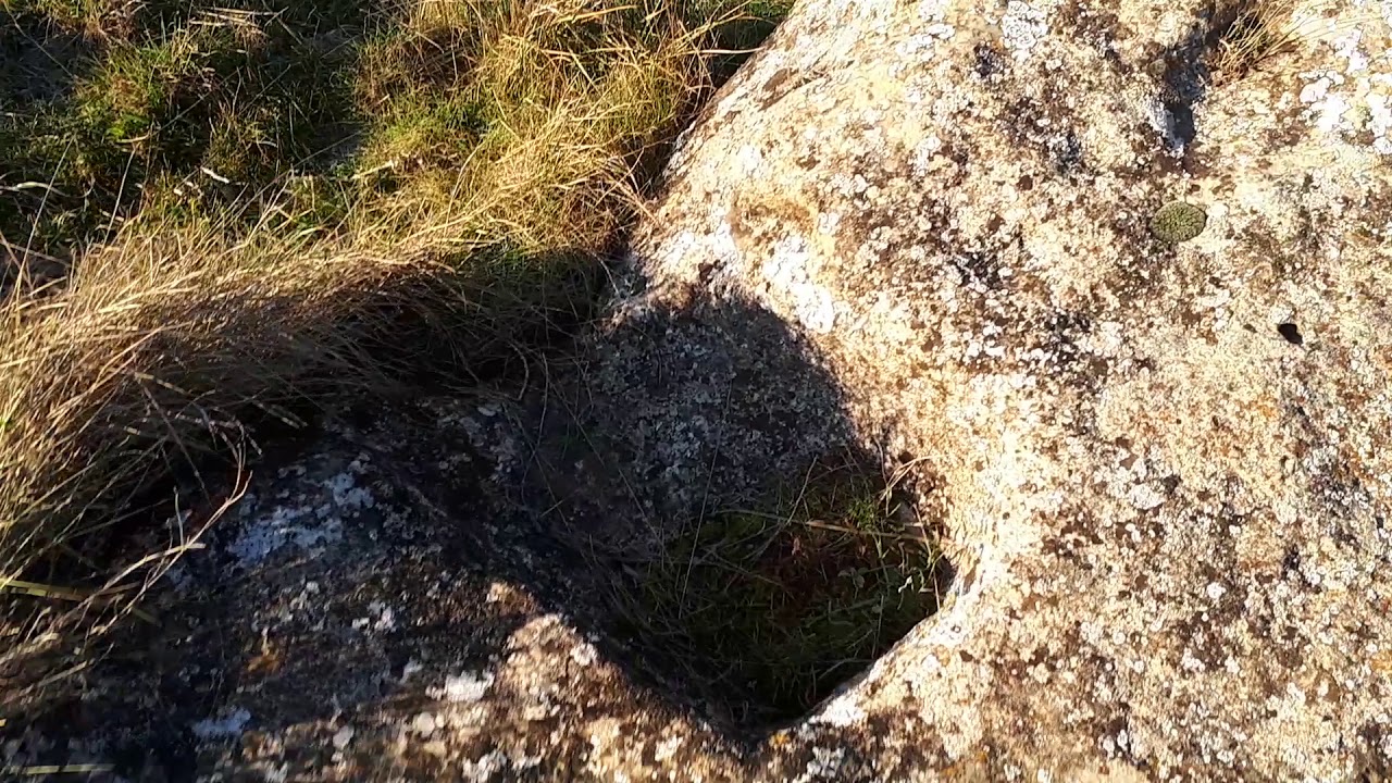 Poblado Visigodo de San Roque (Huerta de la Obispalia)