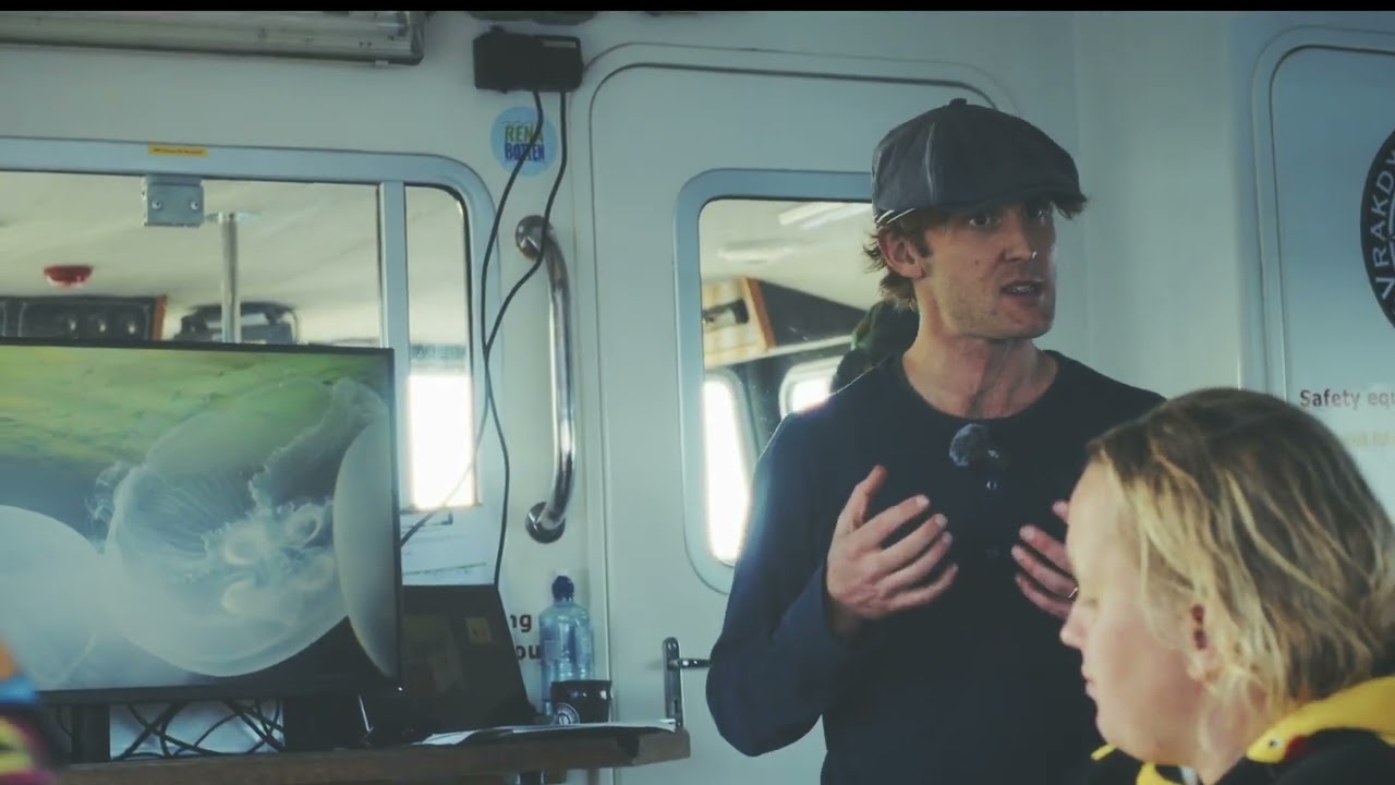 Östersjöns Miljö Öronmaneter