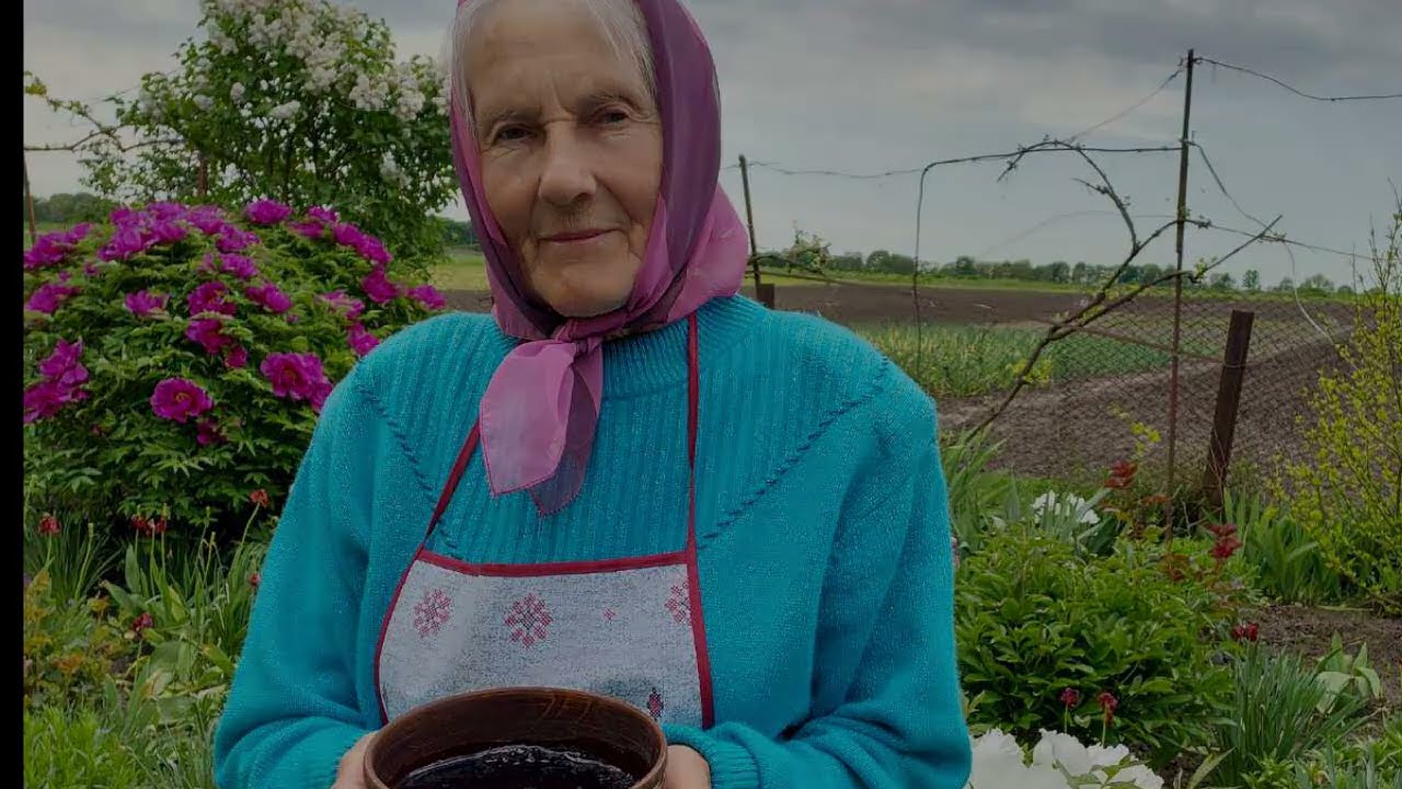 КИСЕЛИЦЯ