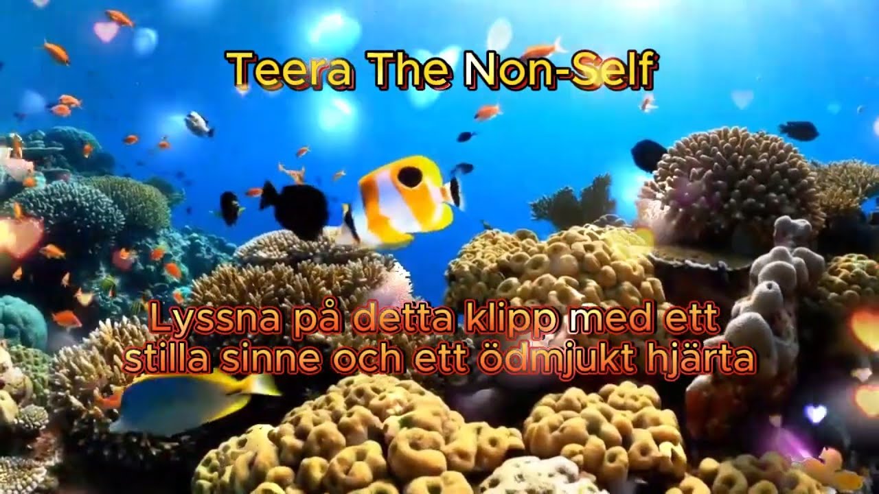 Lyssna p&aring; detta klipp med ett stilla sinne och ett &ouml;dmjukt hj&auml;rta  U50  II Teera The Non-Self สวีเดน