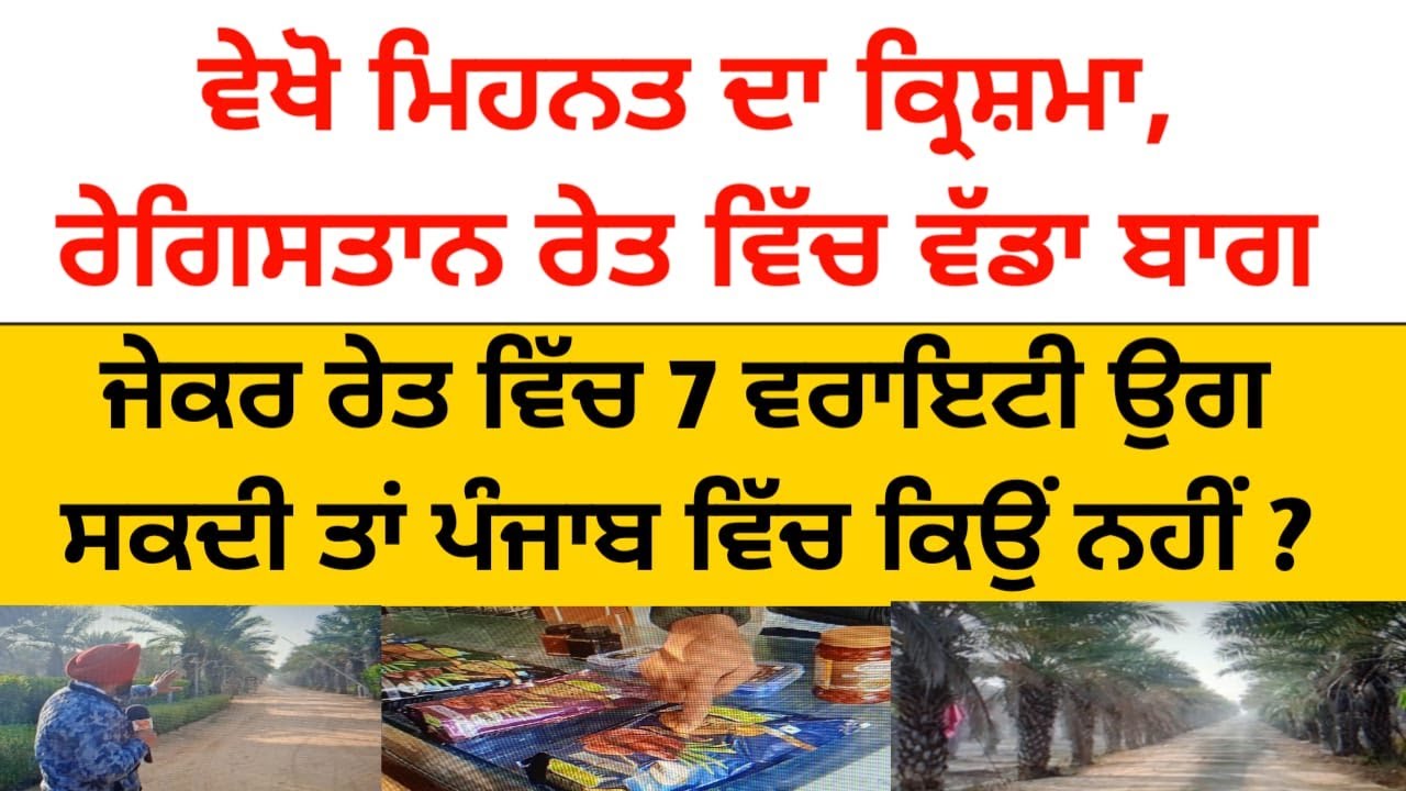 ਵੇਖੋ ਮਿਹਨਤ ਦਾ ਕ੍ਰਿਸ਼ਮਾ,