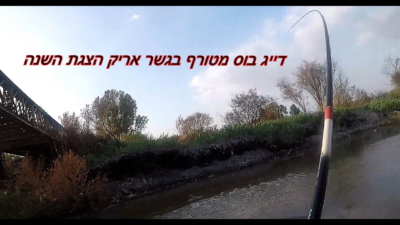 דיג בוס מטורף בגשר אריק הצגת השנה