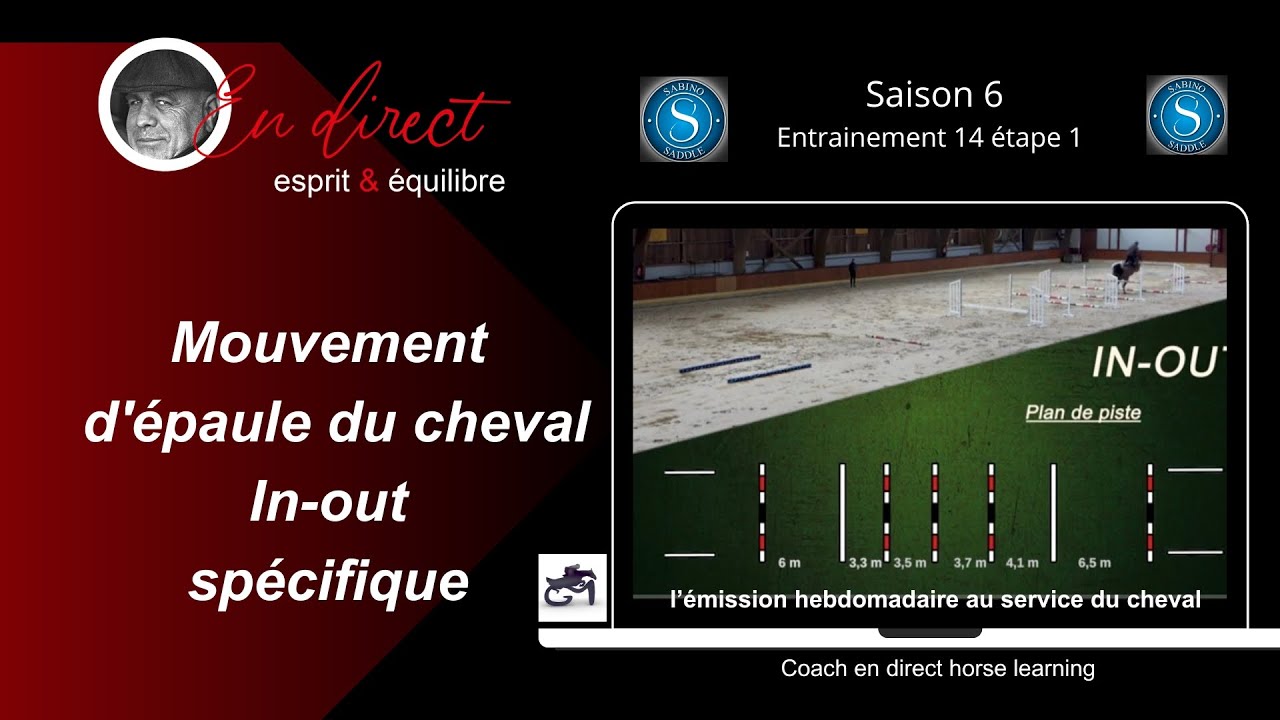 Améliorer le geste des antérieurs du cheval @COACH EN DIRECT Horse learning