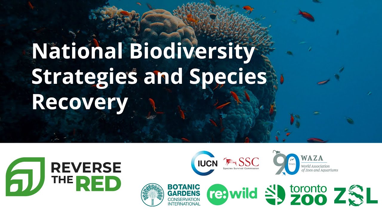 National Biodiversity Strategies and Species Recovery