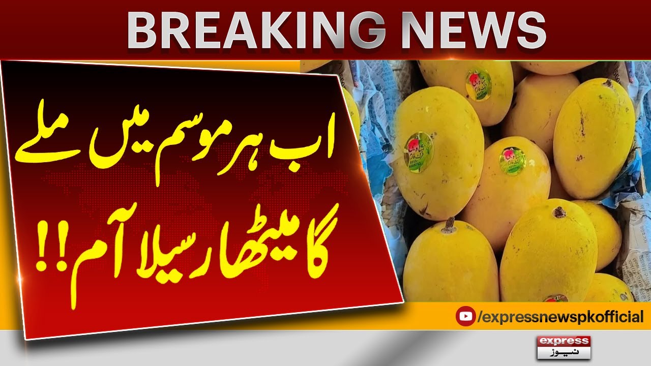 Sweet & Juicy Mangoes Now Available All Year Round | Breaking News | Pakistan News