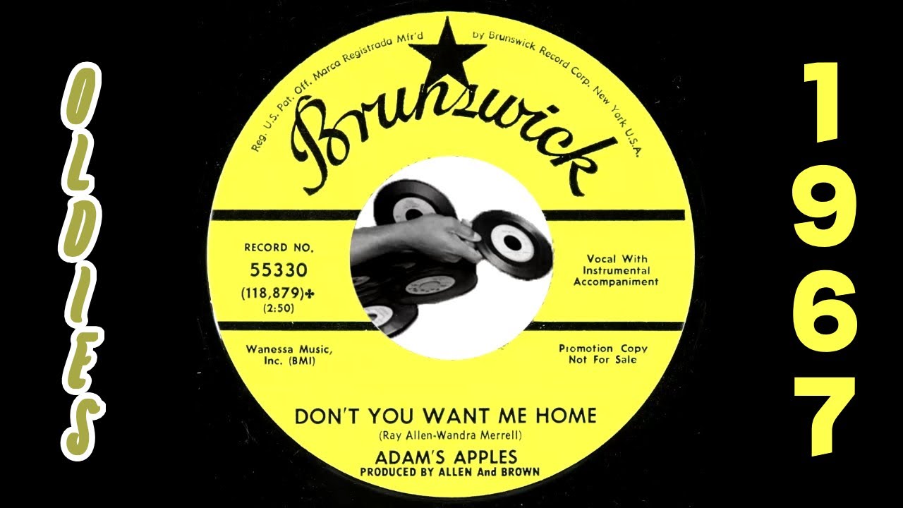 Adams Apples - Don't You Want Me Home [Brunswick] 1967 Group Soul Ballad Oldies 45
