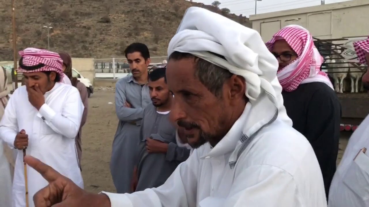 سوق الأغنام (حلقة - الماقفة) بالطائف الجزء 1️⃣