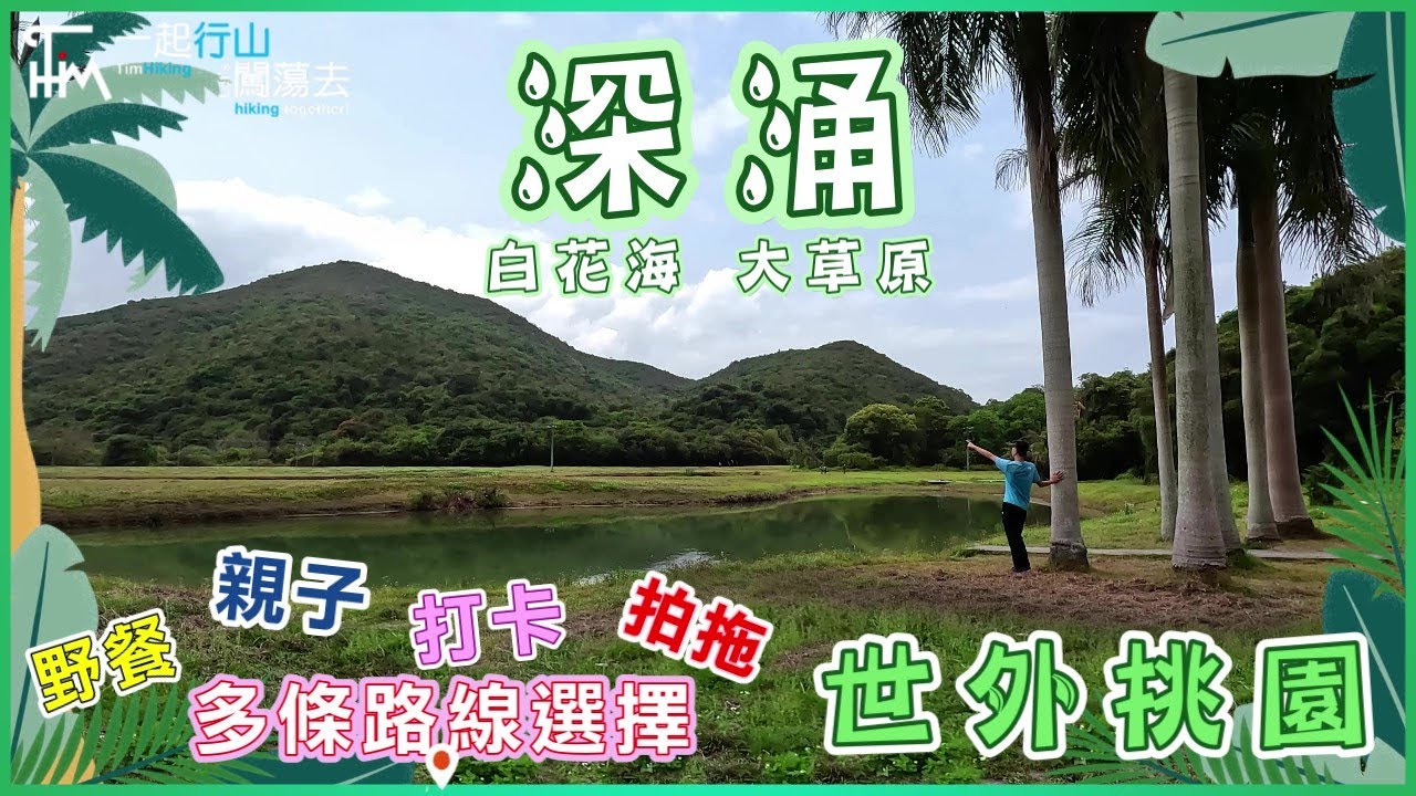 【輕鬆行山郊遊】深涌大草原🌿蛇石🐍 BB級行山路線 超大草原 小白花海 | 遠離繁囂 野餐郊遊親子拍拖好去處 | TimHiking