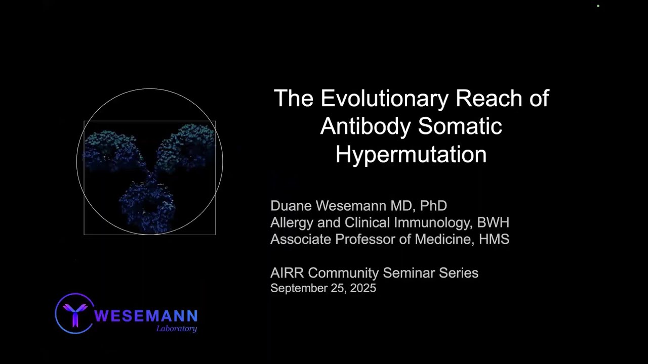 AIRR C Seminar Series, September 25, 2025   Duane Wesemann, Harvard University, USA