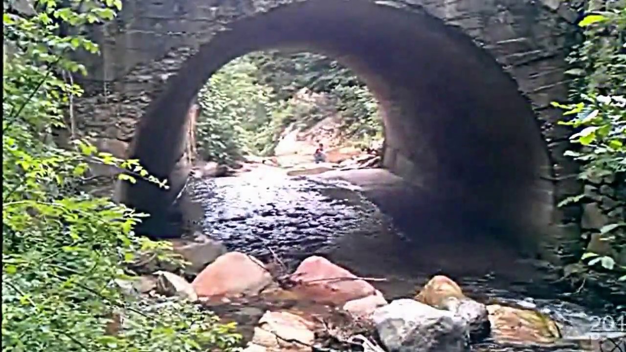 Ordu Gölköy Özlü Köyü  Mercan filmi