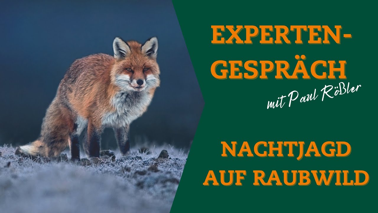 Expertengespr&auml;ch mit Paul R&ouml;&szlig;ler: F&uuml;chse mit Nachtsichttechnik und W&auml;rmebild bejagen?