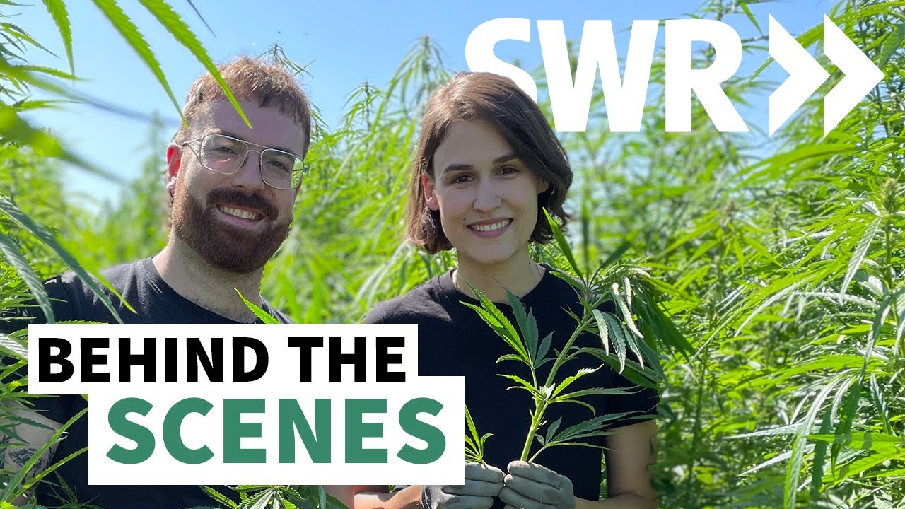 DOKU &uuml;ber NUTZHANF mit dem SWR | Behind the Scenes + KANAL-UPDATE &uuml;ber NEUEN CONTENT ⁠@marktcheck