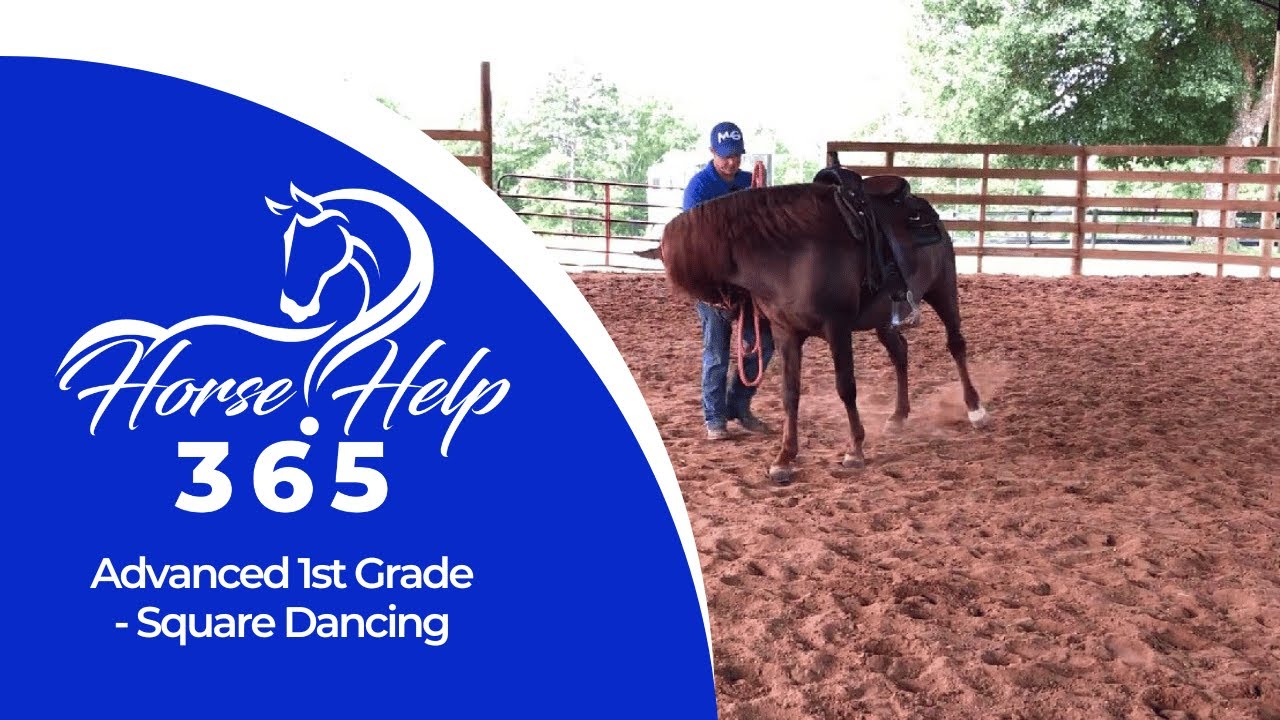 Advanced 1st Grade - Square Dancing | Horse Help - Michael Gascon