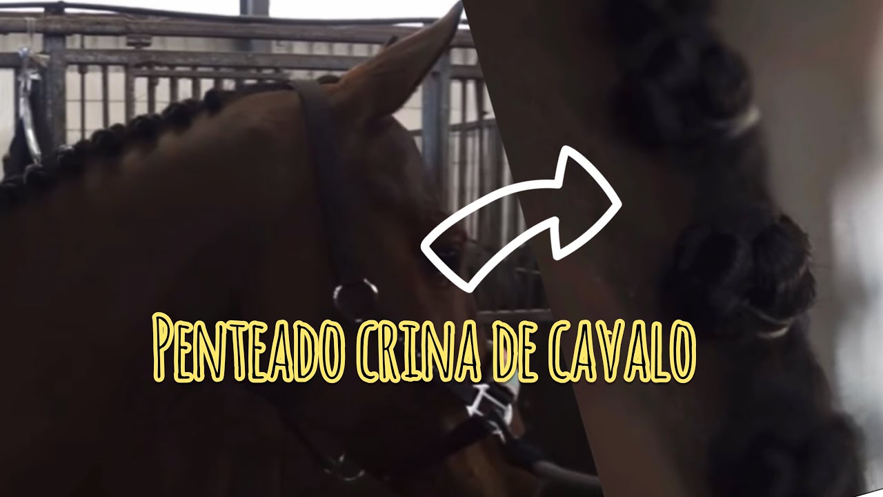 Penteado em crina de cavalo