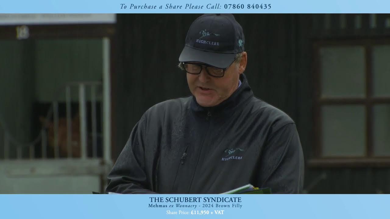 Highclere Yearling Parade 2025 - LIVE