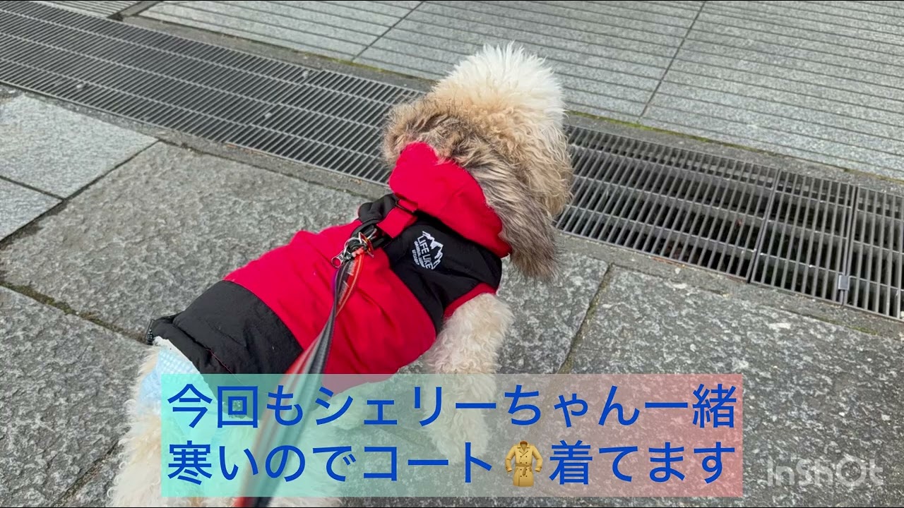 ちょっとドライブ    今回は姫路市夢前町のヤマサ蒲鉾(かまぼこ工房 夢鮮館)に行って来ました♪