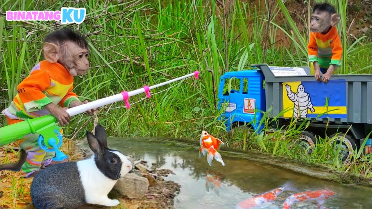 Luby Monyet Lucu Pergi Memancing Bersama Kelinci Mengendarai Mobil