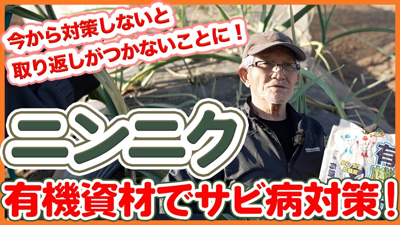 【ニンニク栽培】有機資材でサビ病を防ぐ！効果的な使い方を徹底解説！【シェア畑】【農園ライフ】