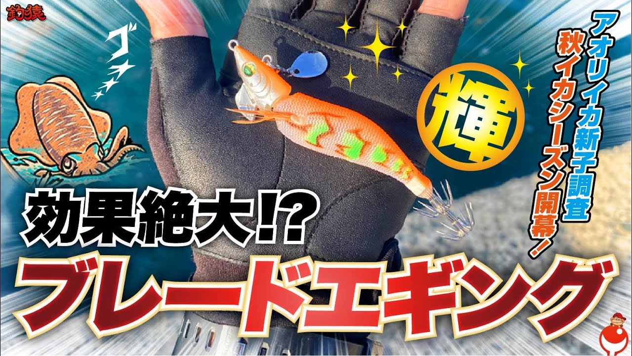 【エギング】秋イカシーズン遂に開幕！ブレードチューンで早速無双したい！✨アモラスver