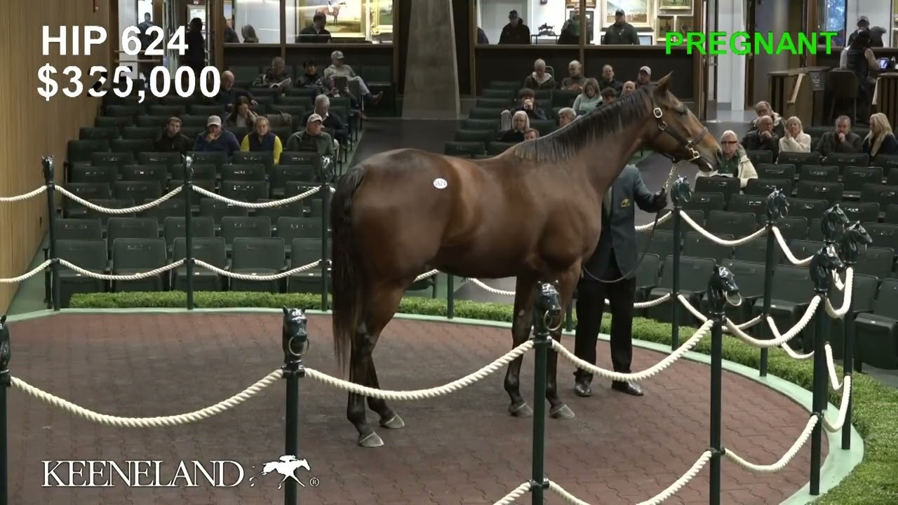 Taylor Swifter sells for $700,000 at 2025 Keeneland November