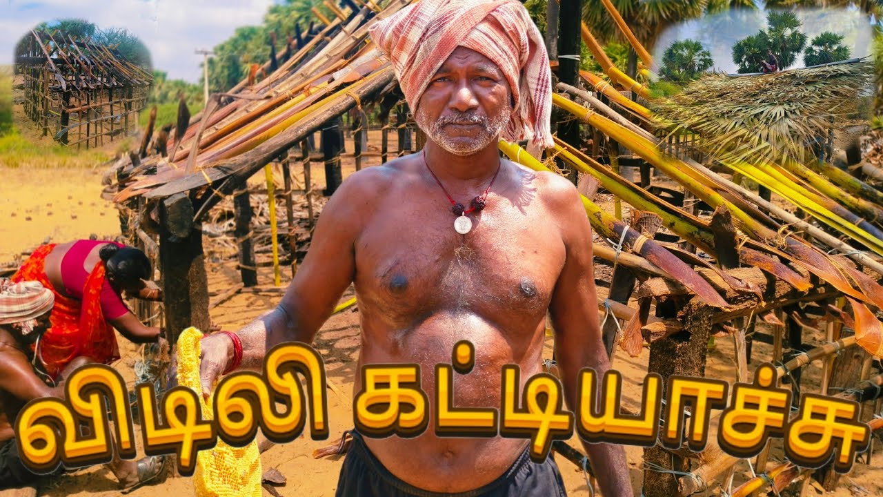 பனங்காட்டு விடிலி கட்டியாச்சு மக்களே ✨ விடிலி பற்றிய விவரம் #பனை #விடிலி #Palmyra house #palmyra 