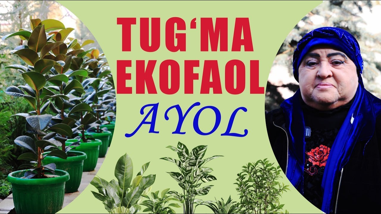“Hadeb Sharm el-Sheyxga yugurguncha, o‘zimizdan bog‘ qoldiraylik…”