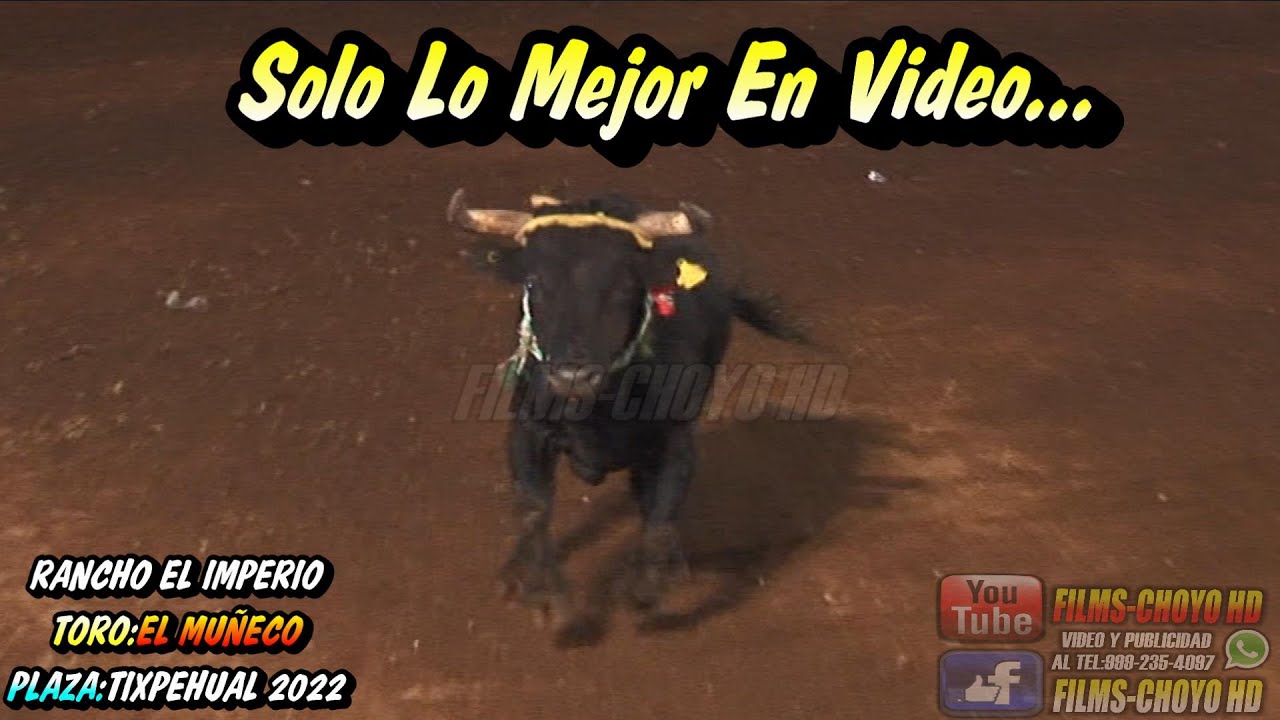 TIXPEHUAL 2022 TORO EL MU&Ntilde;ECO DEL RANCHO EL IMPERIO