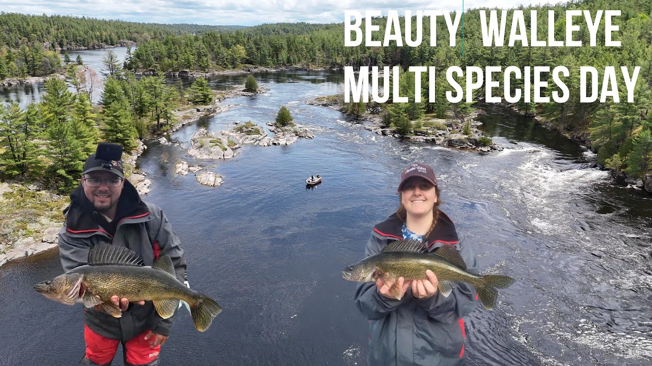 French River Walleye Opener 2025 – Multi-Species Spring Fishing Adventure! 🎣