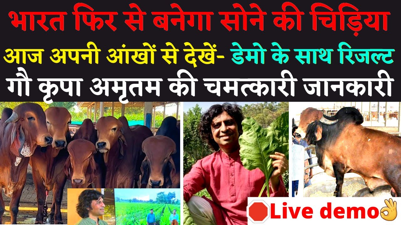 Farming में डबल कमाई कराने वाले गौ कृपा अमृतम् का चमत्कार Live । बचेंगे 15 लाख करोड़ । Gopal Sutaria