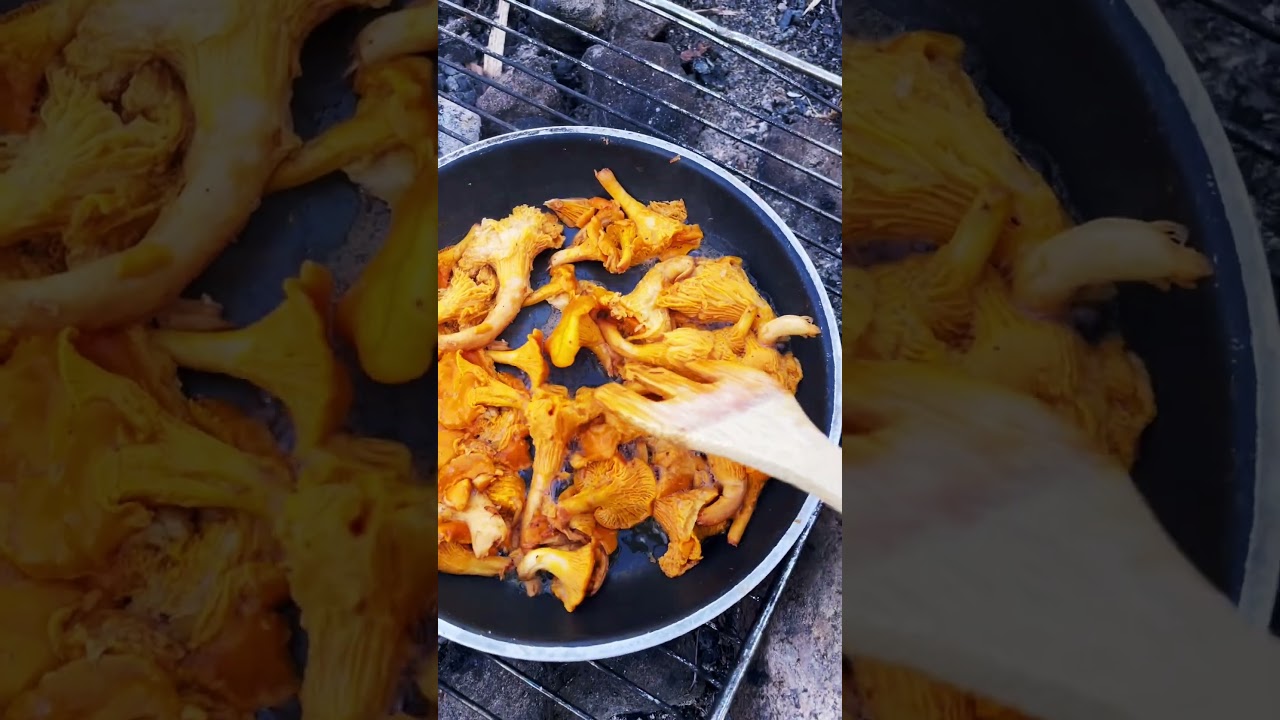 #naturlovers🥀😻