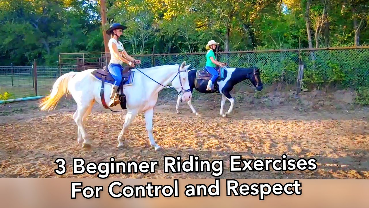 Beginner Western Riding Lesson - 3 basic exercises to establish control at a walk
