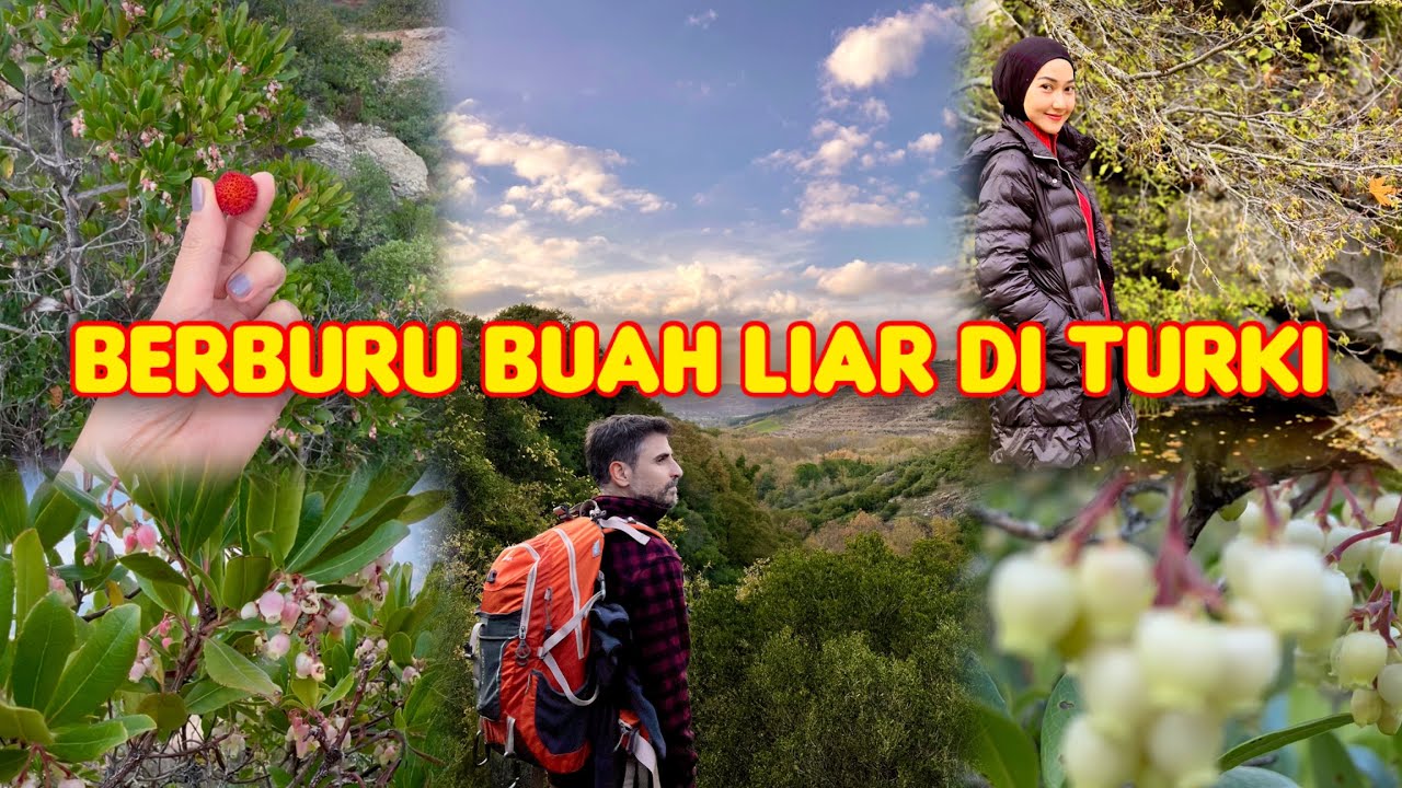 Akhirnya ngebolang lagi !! blusukan cari buah liar musim gugur 