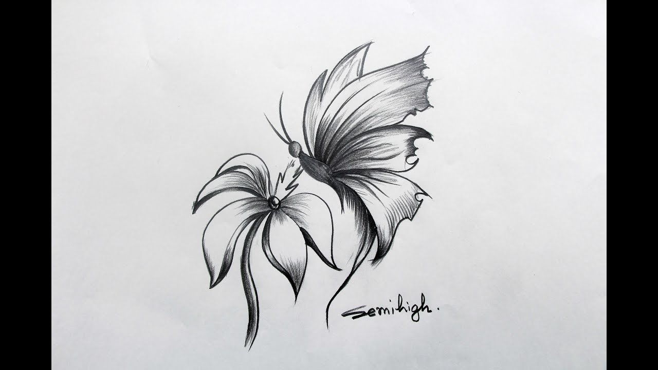 How To Draw Butterfly With Flower