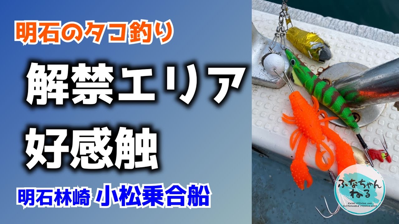 【明石タコ釣り】ヒット連発！ “オレンジ”で釣果アップ間違いなし！？