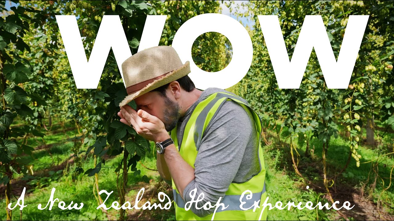 Experience a New Zealand hop farm with us!