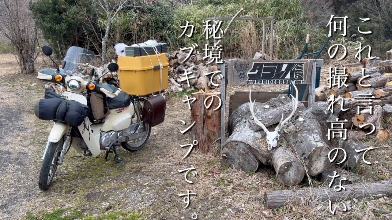 これと言って何の撮れ高のない秘境でのカブキャンプです。