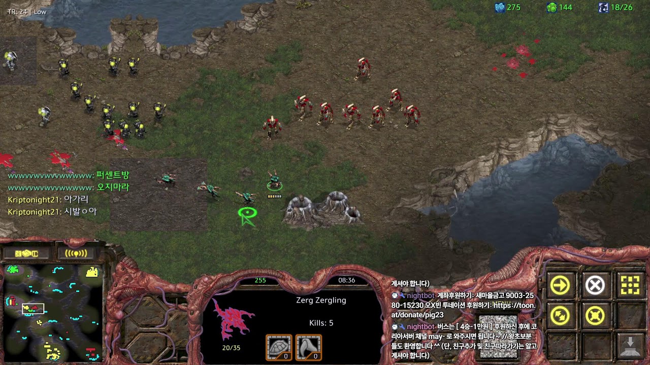[pig23 생방송] 스타팀플헌터 2026.1.17 (토요일) StarCraft Hunter TeamPlay