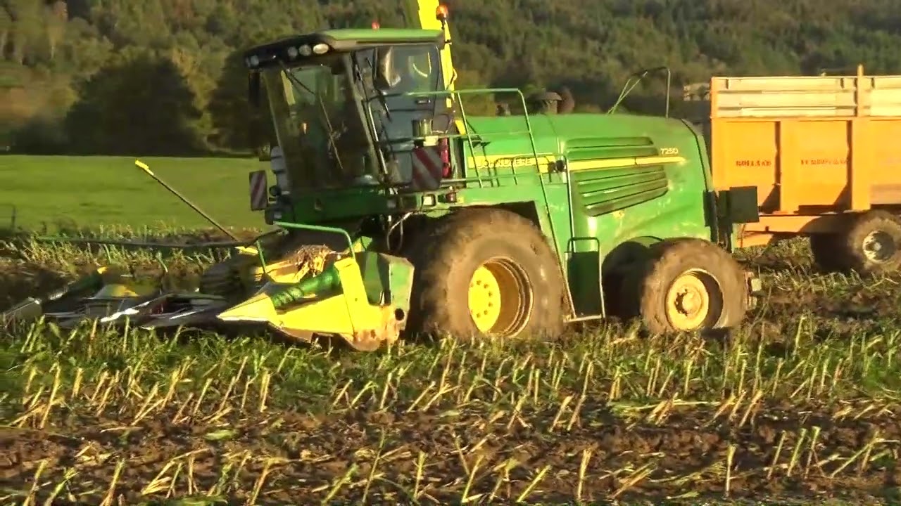 Ensilage  mais 2024 vendredi