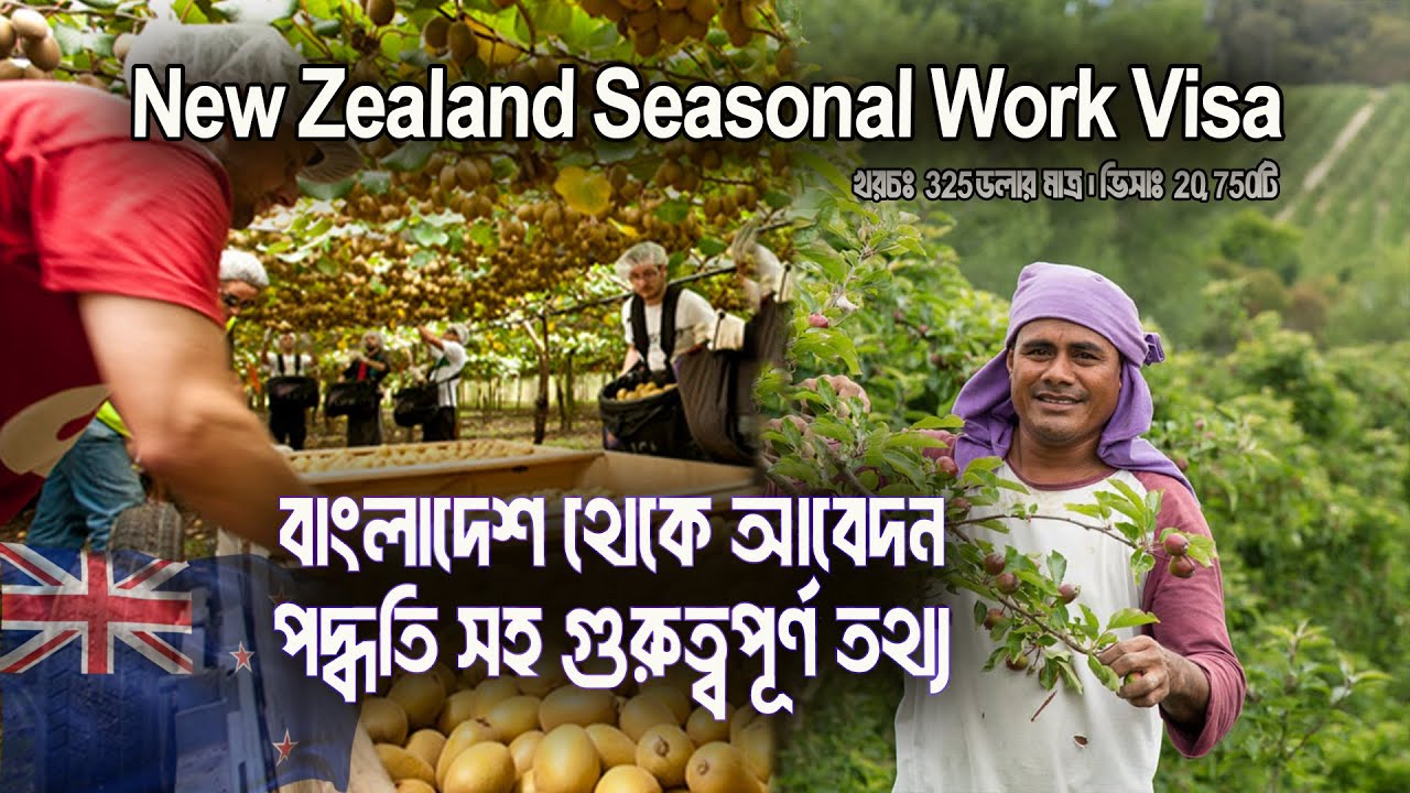 New Zealand Seasonal Work Visa 2025 | বাংলাদেশ থেকে আবেদন পদ্ধতি | খরচ $325 | 20,750 ভিসা