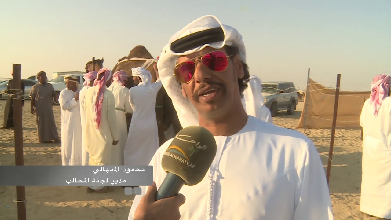 قناة الواحة تقدم مهرجان رزين لمزاينة الابل ٢٠١٧ - المحالبة