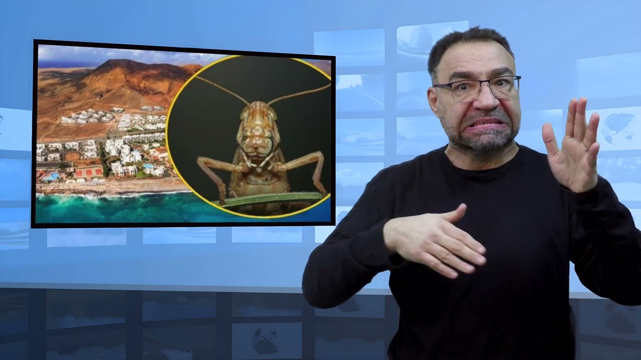 Biblijna plaga spadła na turystyczny raj Polaków (Tłumaczenie na Język Migowy - PJM)