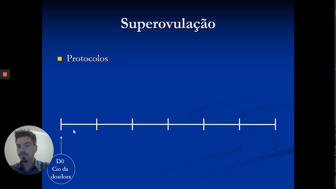 Superovulação (primeira parte)