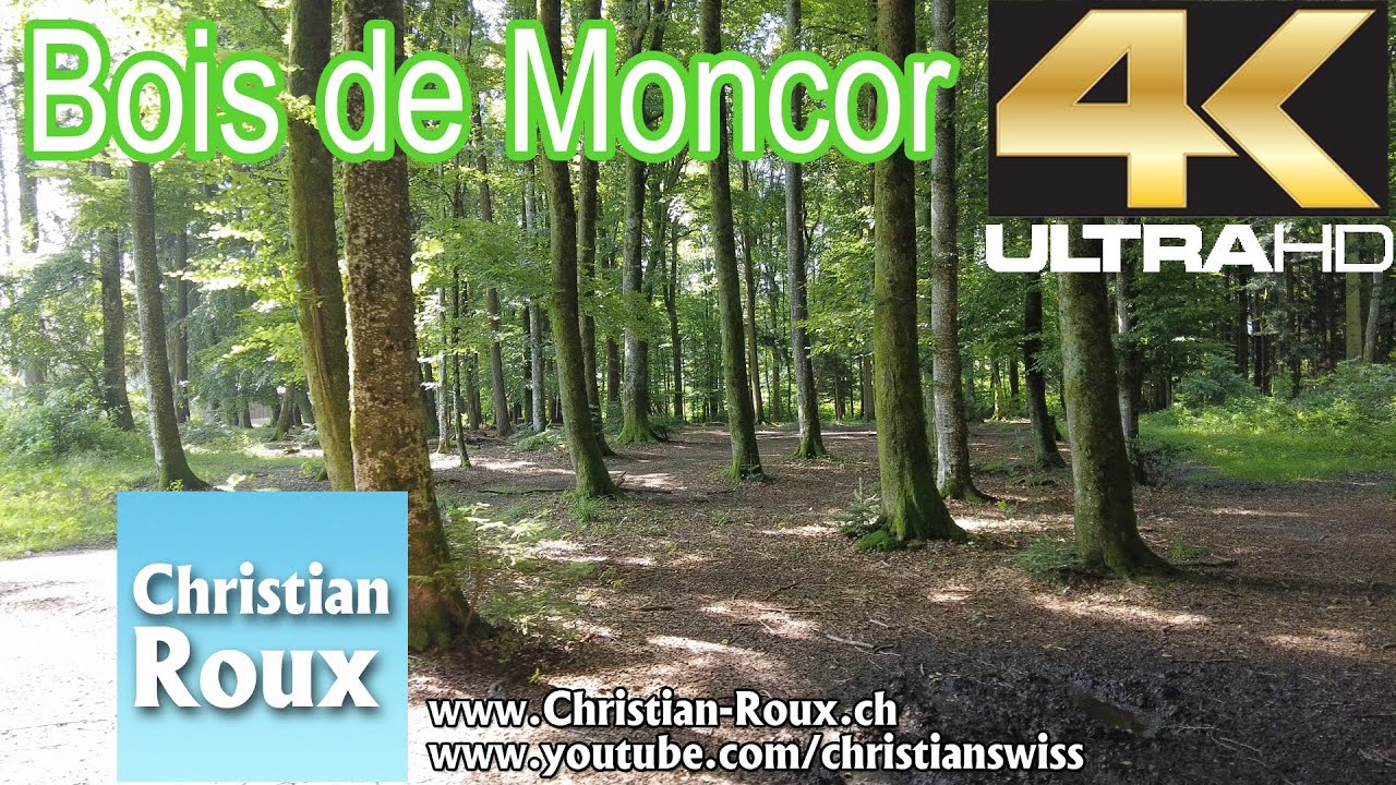 Walk-Ballade 332 - Bois de Moncor (Villars-sur-Glâne) - 4K/UHD Dji Pocket 2