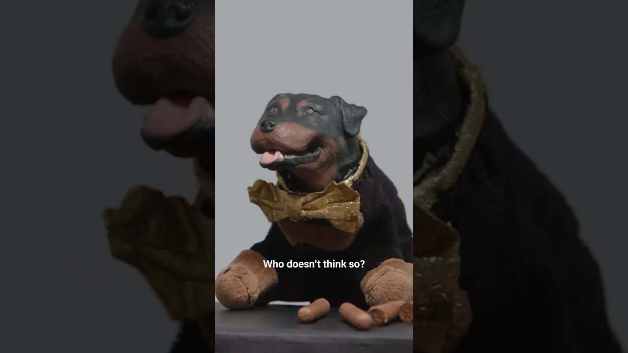 Repeat after ​⁠@TriumphTheInsultComicDogHQ, &ldquo;I cannot be easily manipulated