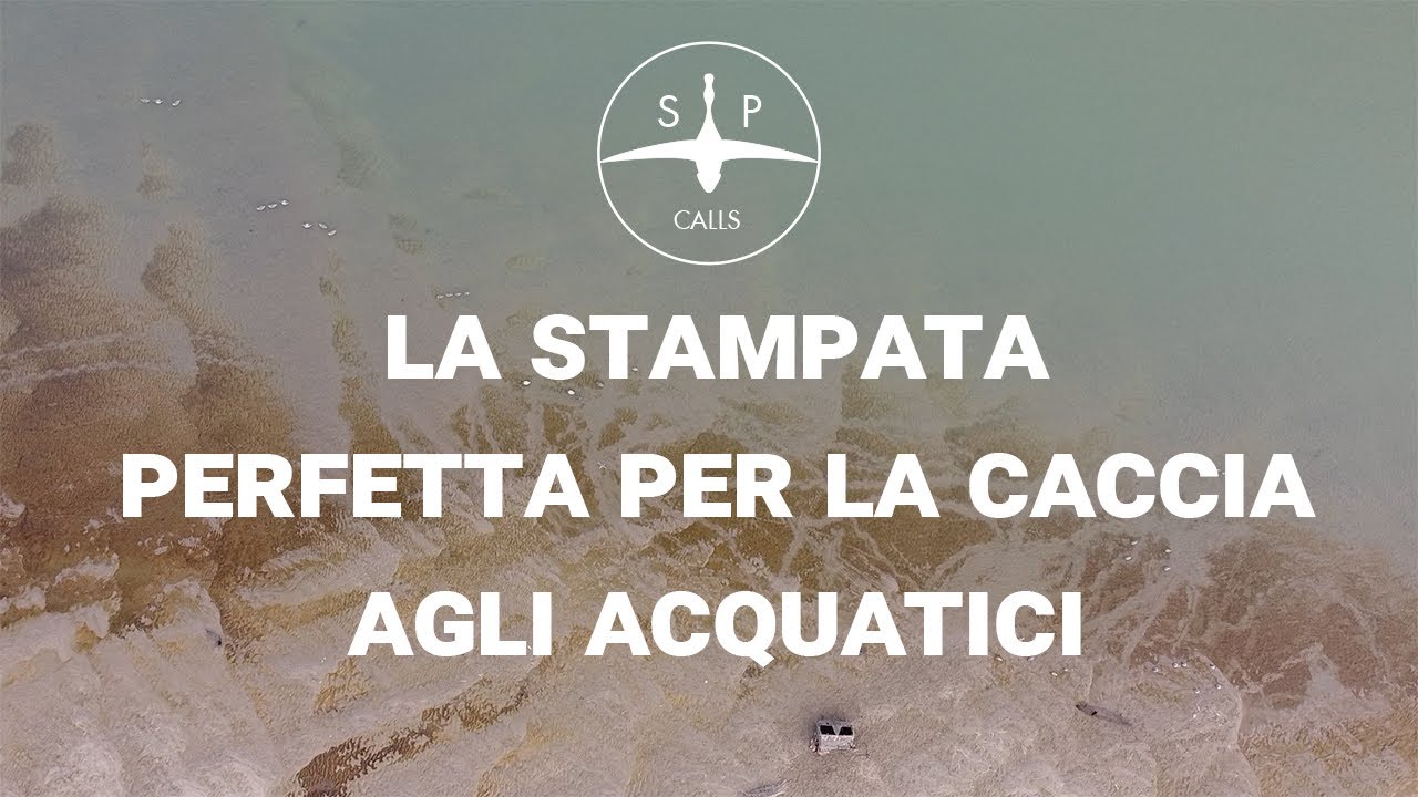 Tecnica di posizionamento degli stampi per anatre: consigli e segreti