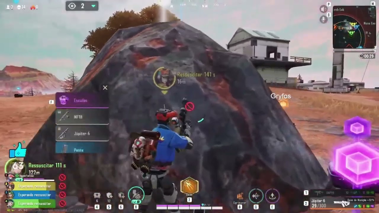 Gryfos X Reizao