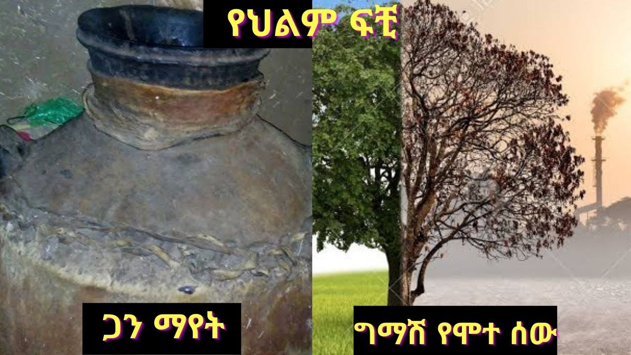 ጋን: ግማሽ የሞተ ሰው: ስለመብረቅ ከናንተ የመጣ ፍቺ እና ሌሎች