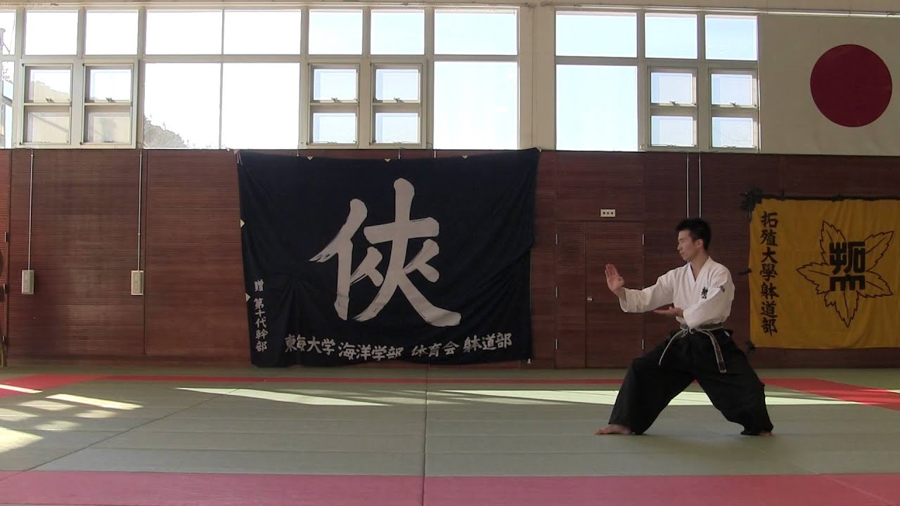 躰道 Taido 実技篇 2