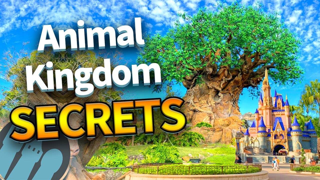 Animal Kingdom SECRETS Disney World Won't Tell You