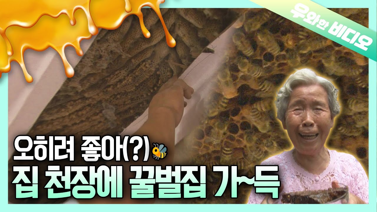 집세는 꿀로 대신할게요🍯┃I'll Pay the Rent With Honey 🍯